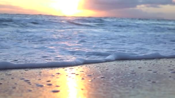 Lassú mozgás makró: Lélegzetelállító óceáni csúszó és mosás arany homokos strand — Stock videók