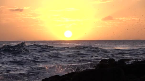 Zeitlupe aus nächster Nähe: Meereswellen, die bei goldenem Sonnenuntergang ins felsige Ufer plätschern — Stockvideo