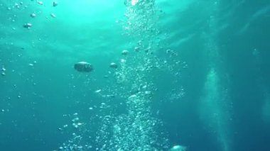 Sualtı: Pürüzsüz okyanus yüzeyine kadar yükselen çok sayıda küçük hava kabarcıkları