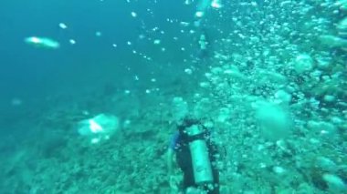 Sualtı: Scuba dalgıçlar çarpıcı çeşitli kayalık mercan resifi üzerinde dalış