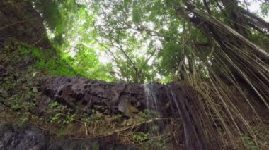 Young girl sliding on cable above big rocky wall in overgrown jungle rainforest