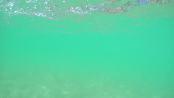 SOUS-EAU : Célèbre plage de Waikiki ensoleillée d'Honolulu, île d'Hawaï — Video