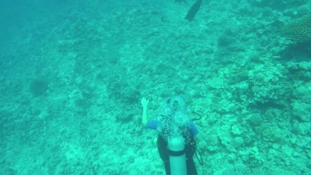 Under vattnet: utsikt från ovan av kvinnan dykning i Pacific Waters söker korallrev — Stockvideo