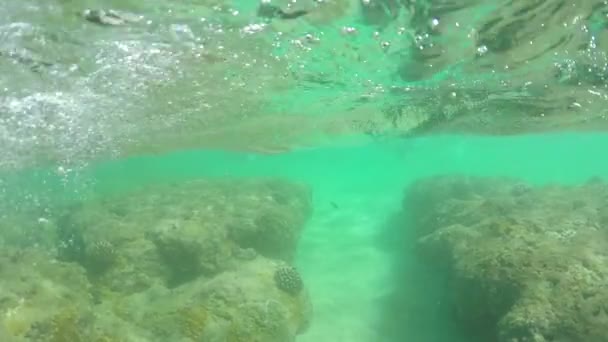 Slow Motion: jonge zwemmer die spannende onderwaterwereld met koraalriffen verkent — Stockvideo