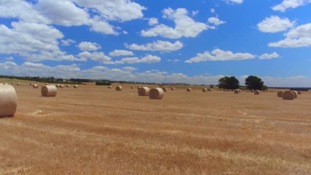 CLOSE UP: Flying above beautiful golden field of mowed grass and bales of hay — Stock Video