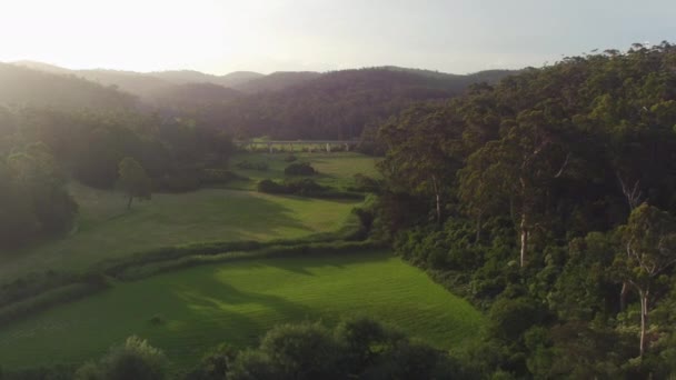 AERIAL: Volando sobre el campo del prado hacia la carretera rodeada de bosques de eucaliptos — Vídeos de Stock