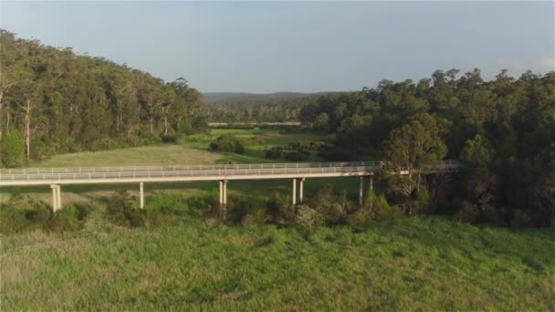 Antenne: weißer Geländewagen fährt über die Brücke über grünen australischen Sumpf — Stockvideo