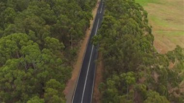 Hava: okaliptüs ormanı ortasında düz geniş boş yol yukarıda uçan
