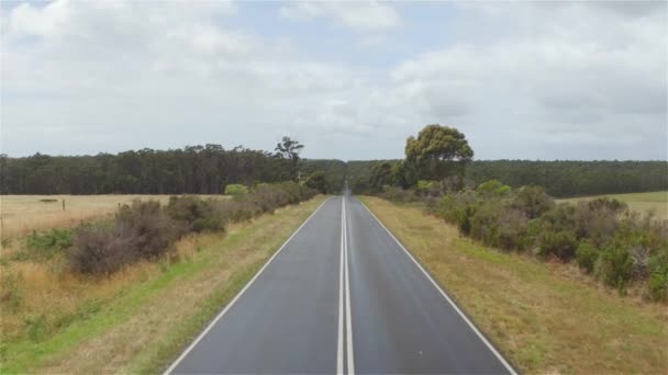 AERIAL: Coche SUV blanco que conduce a lo largo de camino recto rodeado de exuberante bosque — Vídeos de Stock