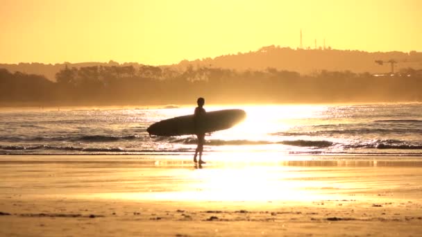 Ağır çekim: longboard sörf altın günbatımında taşıyan tanınmaz sörfçü kız — Stok video