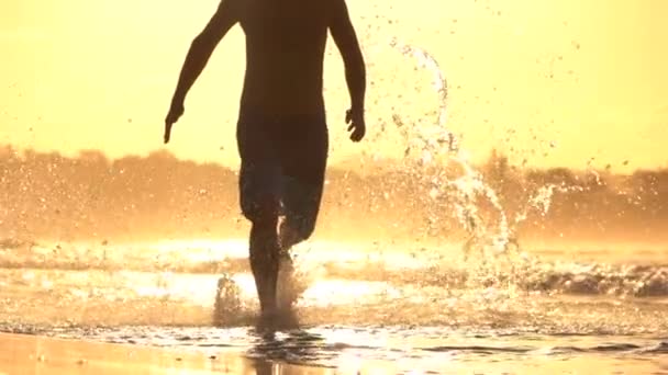 MOCIÓN LENTA: Joven deportista corriendo en aguas poco profundas en la hermosa playa del atardecer — Vídeo de stock