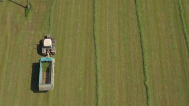 Anteni: Çiftlik sahada çalışan ve Vagon araçla yem toplama traktör çiftçi