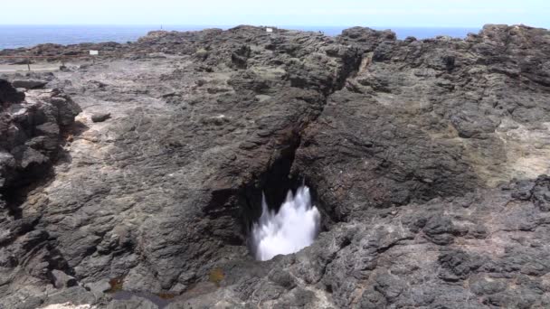 SLOW MOTION CLOSE UP: Ocean water splashing through rough rocky blowhole — Stock video