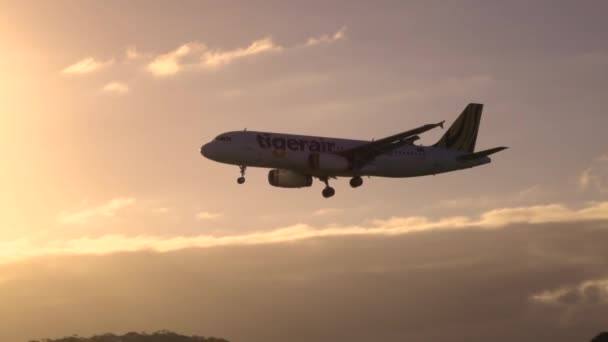 MOVIMIENTO Lento: Avión Tigerair Pasajero volando alto en cielos azules — Vídeos de Stock