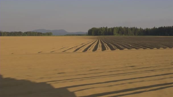 AERIAL: Empty soil lines on a plowed agricultural farmland prepared for planting — ストック動画