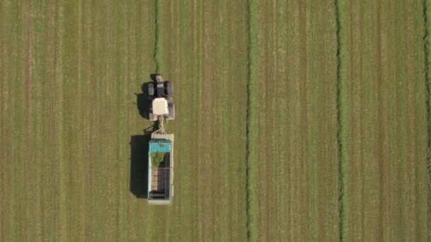 Antenne: Boer in trekker bezig met boerderij veld en verzamelen van voedergewassen in zwaden — Stockvideo