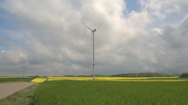 White windmill surrounded by colourful fields of young grass and yellow turnip — Stockvideo