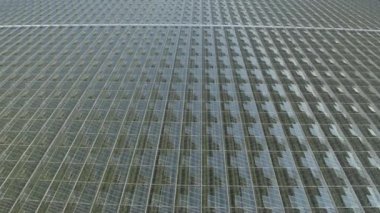 Anteni: taze sebze büyüyen Modern Bahçe tarım glasshouses