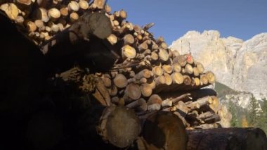 Kesilmiş ağaçların tepesinde güzel kayalık dağ kuleleri.