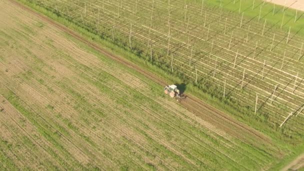 AERIAL: Volando por encima de un tractor cosechando cultivos de un campo cerca de la plantación de lúpulo — Vídeo de stock