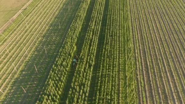 СПОЛУЖІННЯ до фермерів, які збирають урожай у сонячній Словенії — стокове відео