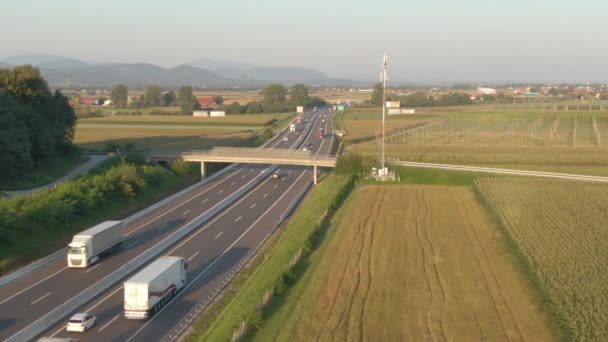 AERIAL: Hinter zwei Lastkraftwagen hergeflogen und Container von Landstraße geschleppt — Stockvideo