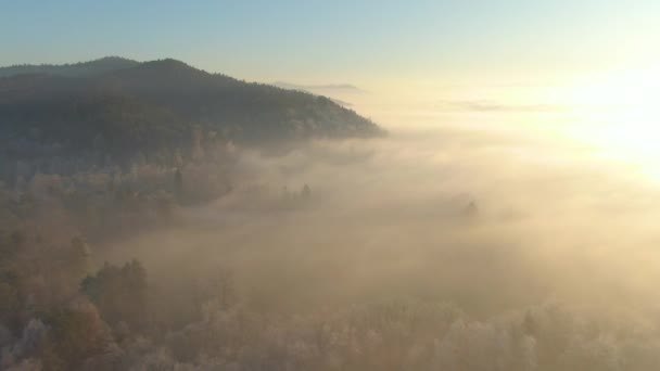 DRONE: Arany kora téli napsugarak világítják meg a fagyos vidéki táj. — Stock videók