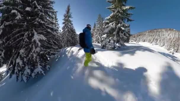 Erkek snowboardcu taze toz karla kaplı bir ormanda geziyor.. — Stok video