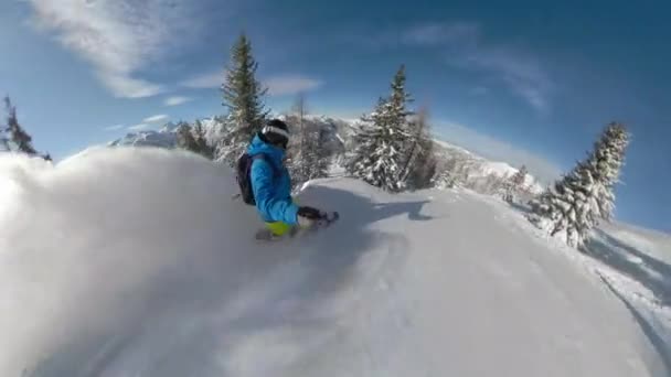 SELFIE: Сноубордист ріже свіжий пороховий сніг під час їзди лісом — стокове відео
