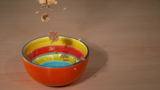 CHIUSURA: I cereali integrali sani cadono in una ciotola vuota — Video Stock