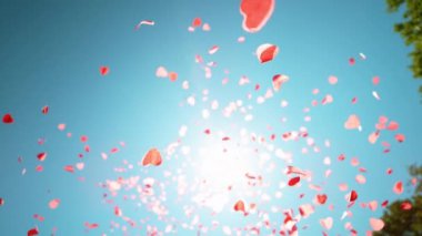 Cinsiyet belirleme partisinde gökten kalp şeklinde konfeti düştü.