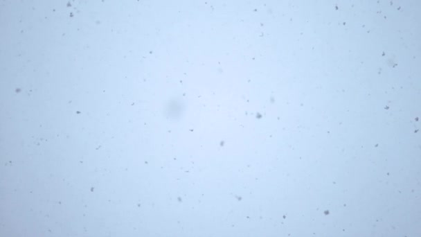 BOTTOM UP: Nesčetné jemné bílé vločky padají z mlhavé zimní oblohy. — Stock video