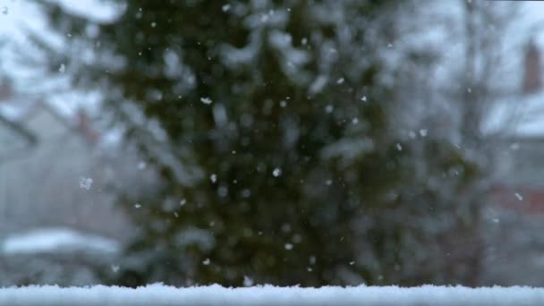 SLOW MOTION, TIME WARP: Cinematografische opname van kleine sneeuwvlokjes op de binnenplaats. — Stockvideo