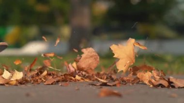 Kaykaycı üzerlerinde uçarken, sonbahar renklerinde yapraklar havada uçuşuyor.