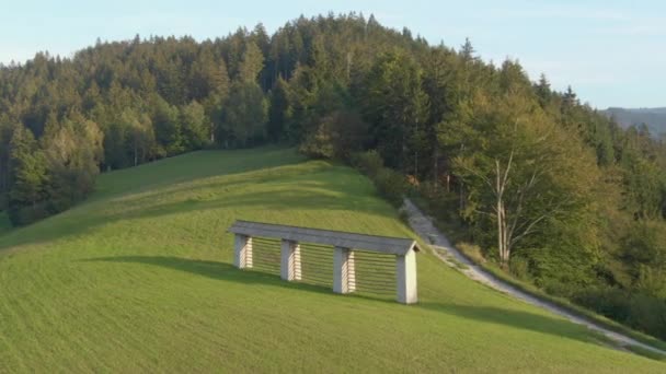 AERIAL: Un estante vacío para secar heno se encuentra en medio de un prado en Bohinj. — Vídeos de Stock