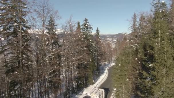 AEREO: I camion trasportano tronchi lungo strade vuote che si snodano attraverso la foresta innevata. — Video Stock