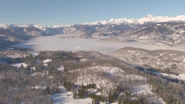 AEREO: Bella veduta aerea di una valle coperta di nebbia e delle Alpi Giulie innevate. — Video Stock