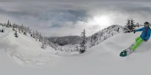 SELFIE: Sportowiec na wakacjach strzępy śniegu puder podczas snowboardu drzewa. — Wideo stockowe