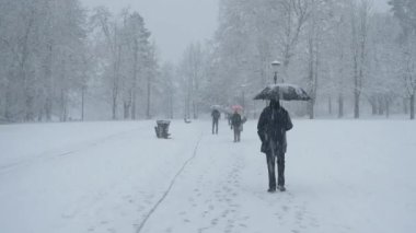 Tanınmayan insanlar kar fırtınası sırasında parkta karlı bir yolda yürürler..