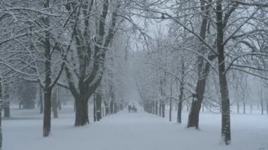 Şiddetli bir kar fırtınası sırasında insanlar manzaralı caddede yürürken eğleniyorlar..