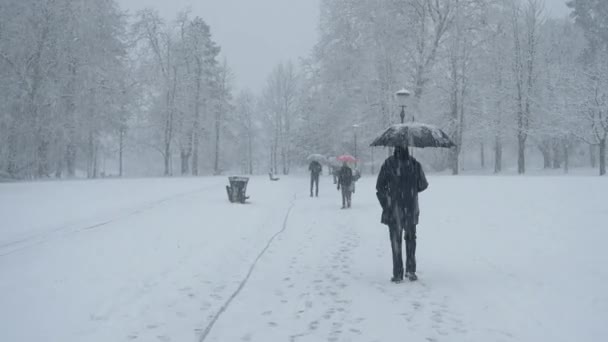 在暴风雪中，难以辨认的人们在公园的雪地小径上行走. — 图库视频影像