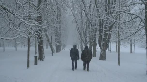 Deux hommes méconnaissables marchent le long de l'avenue enneigée pendant le blizzard à Ljubljana. — Video