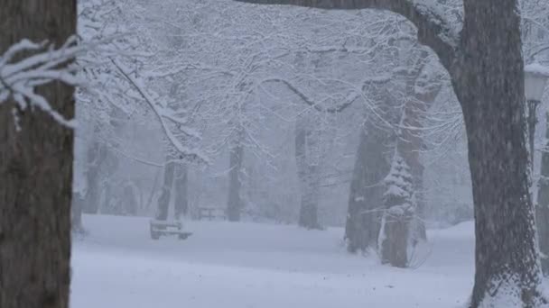 FERMER : Une personne méconnaissable fait du vélo dans le parc pendant une tempête de neige. — Video