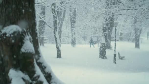 Κοντινό πλάνο: Θολή πρόσωπο σε απόσταση βόλτες στο ήσυχο πάρκο κατά τη διάρκεια χιονοθύελλας. — Αρχείο Βίντεο