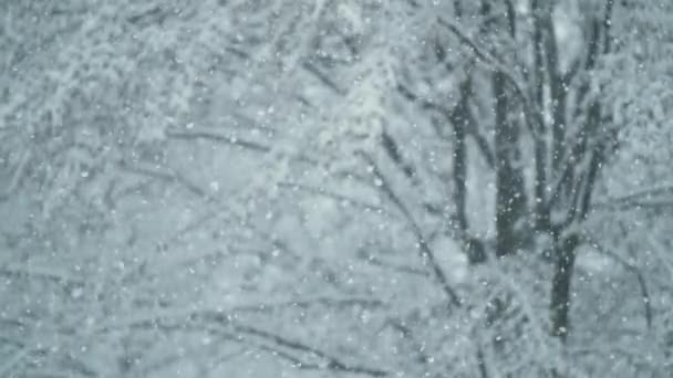 在寒冷的冬日早晨，雪白的雪花覆盖着寒冷的大街. — 图库视频影像