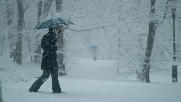 スローモーション:冬のコートを着た女性と傘を持って吹雪の中を歩く — ストック動画