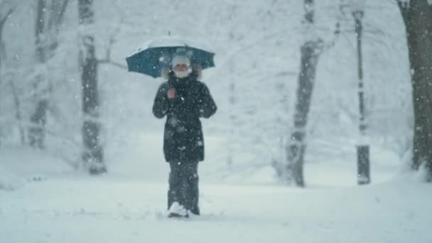 MOTION LENT : Femme caucasienne explore le parc idyllique le jour de Noël. — Video