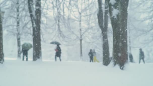 SLOW MOTION: Ενήλικες και παιδιά διασκεδάζουν στο πάρκο κατά τη διάρκεια μιας χιονοθύελλας. — Αρχείο Βίντεο