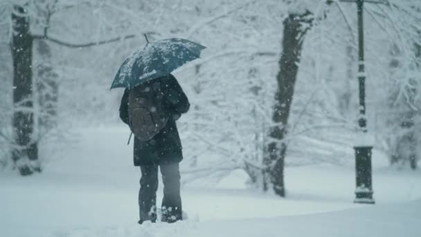 SLOW MOTION Kvinna trampar djup snö när du går runt i parken under snöstorm — Stockvideo
