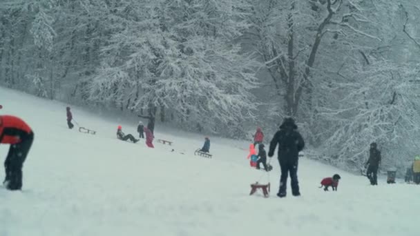 SLOW MOTION: Ειδυλλιακή άποψη των ανθρώπων που διασκεδάζουν στο χιονισμένο πάρκο κατά τη διάρκεια μιας χιονοθύελλας. — Αρχείο Βίντεο